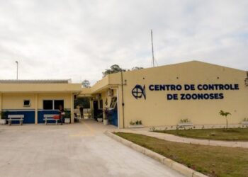 Centro de Controle de Zoonoses orienta sobre cuidados diante do aumento na incidência de morcegos durante o verão
