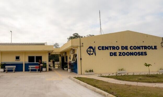 Centro de Controle de Zoonoses orienta sobre cuidados diante do aumento na incidência de morcegos durante o verão