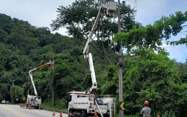 São Sebastião recebe mutirão de melhorias técnicas da EDP