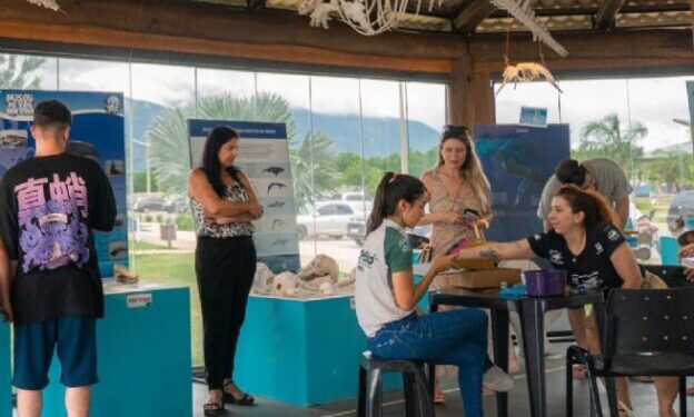 Espaço Vida Marinha de São Sebastião promove programação especial de Carnaval com foco em educação ambiental