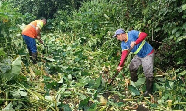 Prefeitura de São Sebastião mantém atuação intensa da Secretaria de Serviços Públicos após chuvas e reforça pronta resposta