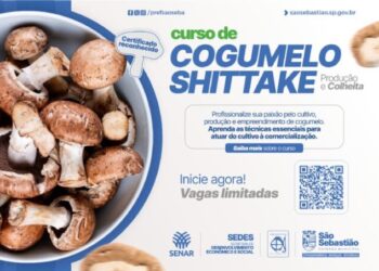 Prefeitura de São Sebastião abre inscrições para curso gratuito de produção de cogumelo shiitake