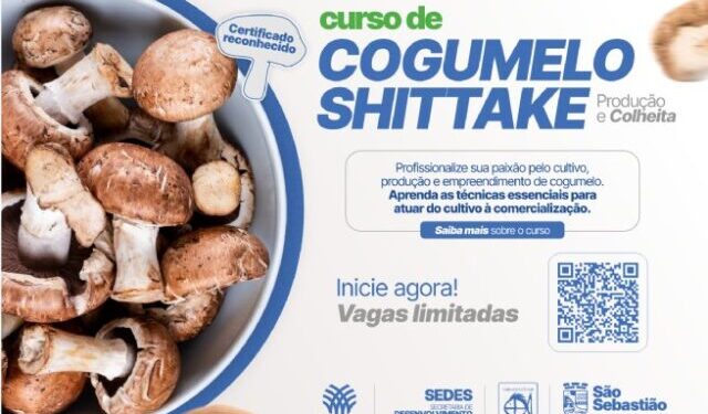 Prefeitura de São Sebastião abre inscrições para curso gratuito de produção de cogumelo shiitake