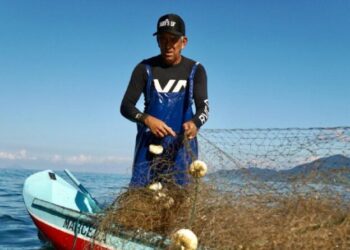 Prefeitura de São Sebastião fomenta turismo de base comunitária e valoriza cultura caiçara