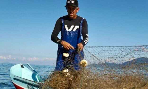 Prefeitura de São Sebastião fomenta turismo de base comunitária e valoriza cultura caiçara