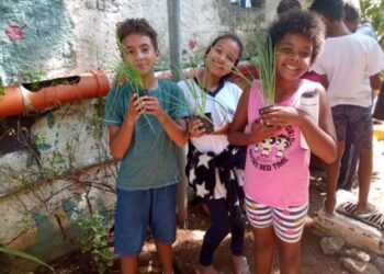 São Sebastião amplia hortas comunitárias e inicia plantio com crianças no município