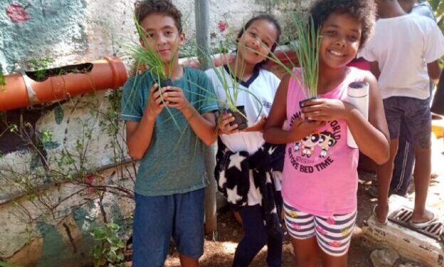 São Sebastião amplia hortas comunitárias e inicia plantio com crianças no município