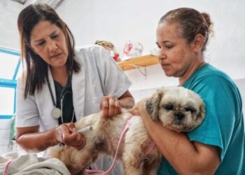Prefeitura informa sobre suspensão temporária da vacinação antirrábica por escassez nacional de doses