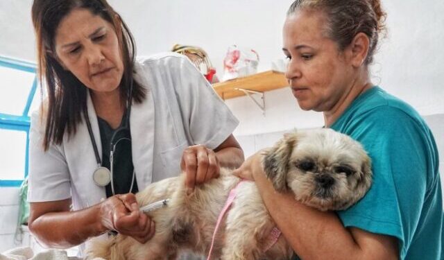 Prefeitura informa sobre suspensão temporária da vacinação antirrábica por escassez nacional de doses