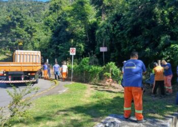 Prefeitura combate desmatamento e apreende materiais de construção em ação integrada na Costa Norte