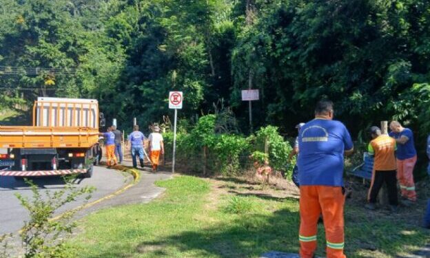 Prefeitura combate desmatamento e apreende materiais de construção em ação integrada na Costa Norte