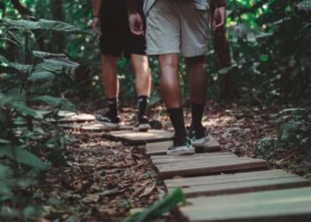 Prefeitura de São Sebastião e Fundação Florestal renovam cooperação para gestão de trilhas no Parque Estadual