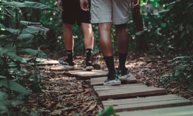 Prefeitura de São Sebastião e Fundação Florestal renovam cooperação para gestão de trilhas no Parque Estadual