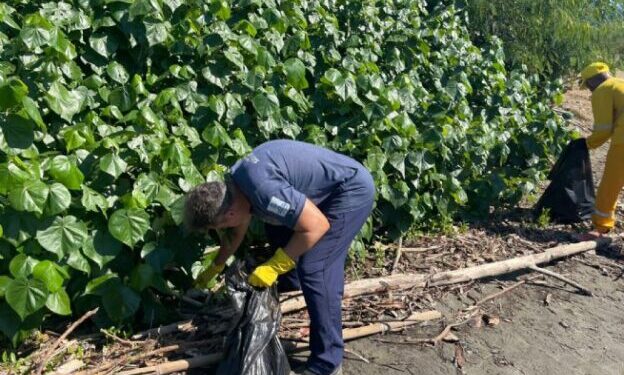 Prefeitura remove 924 kg de resíduos do Mangue do Colhereiro e reforça preservação