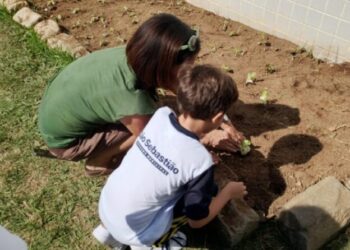 Prefeitura promove ação do projeto ‘Horta para Todos’ com participação de cerca de 140 alunos