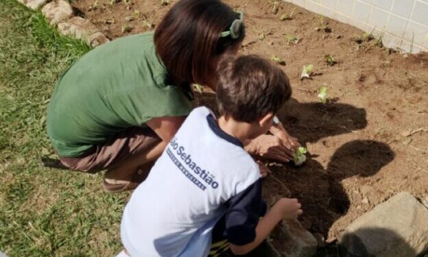 Prefeitura promove ação do projeto ‘Horta para Todos’ com participação de cerca de 140 alunos