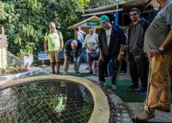 Prefeitura promove visita dos pacientes do CAPS no viveiro municipal em alusão ao Dia Nacional da Luta Antimanicomial