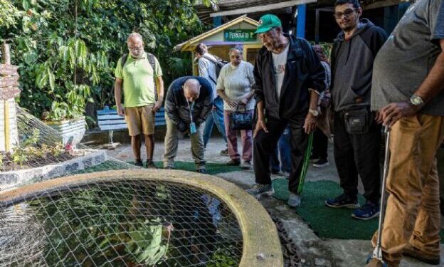 Prefeitura promove visita dos pacientes do CAPS no viveiro municipal em alusão ao Dia Nacional da Luta Antimanicomial
