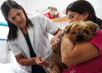 São Sebastião retoma vacinação antirrábica gratuita após regularização de doses