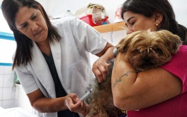 São Sebastião retoma vacinação antirrábica gratuita após regularização de doses