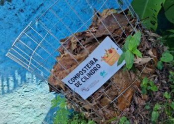 Estudantes participam de formação prática sobre compostagem e aquaponia em ação inter-escolar