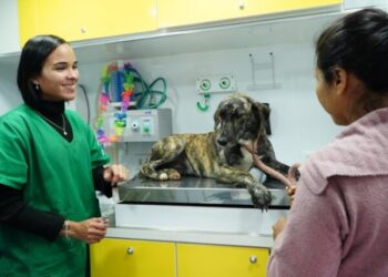 PATA Móvel percorre 9 bairros para levar atendimento veterinário gratuito em São Sebastião