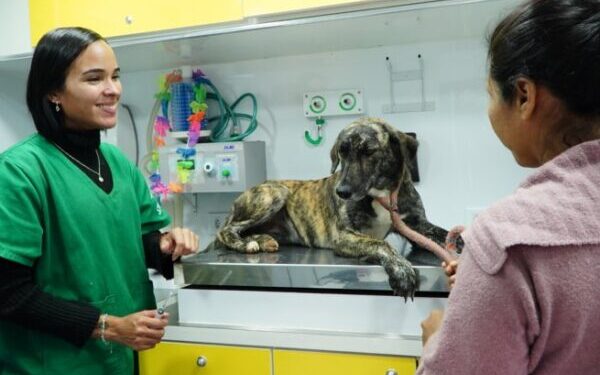 PATA Móvel percorre 9 bairros para levar atendimento veterinário gratuito em São Sebastião