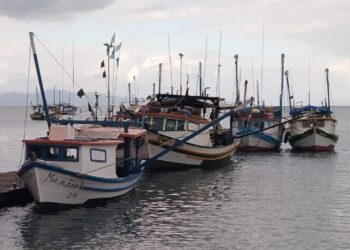 Embarcações passam por vistoria do Ministério da Pesca e Aquicultura em São Sebastião