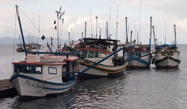 Embarcações passam por vistoria do Ministério da Pesca e Aquicultura em São Sebastião