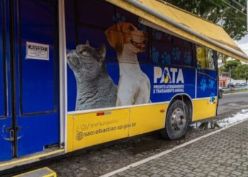 Moradores de Maresias recebem atendimento veterinário gratuito do PATA Móvel até sexta-feira