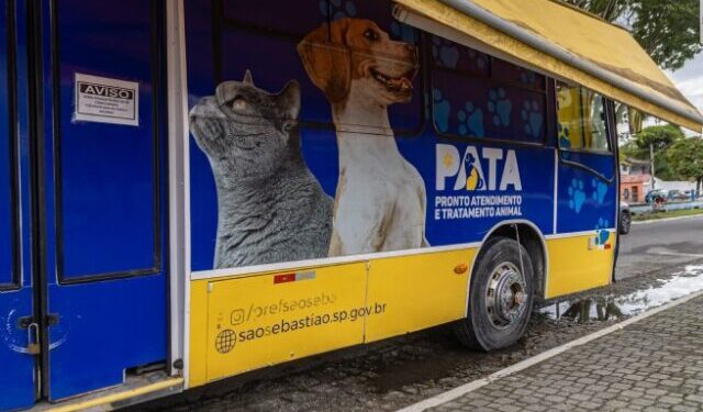 Moradores de Maresias recebem atendimento veterinário gratuito do PATA Móvel até sexta-feira