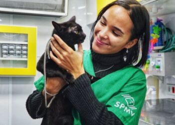 Curso gratuito de Auxiliar de Veterinário abre portas para profissão e novas oportunidades em São Sebastião