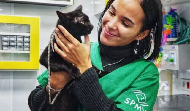 Curso gratuito de Auxiliar de Veterinário abre portas para profissão e novas oportunidades em São Sebastião