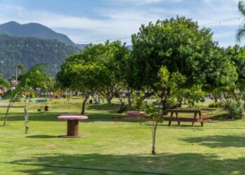 Centro Histórico ganha mais áreas verdes com plantio de mais de 70 mudas em São Sebastião