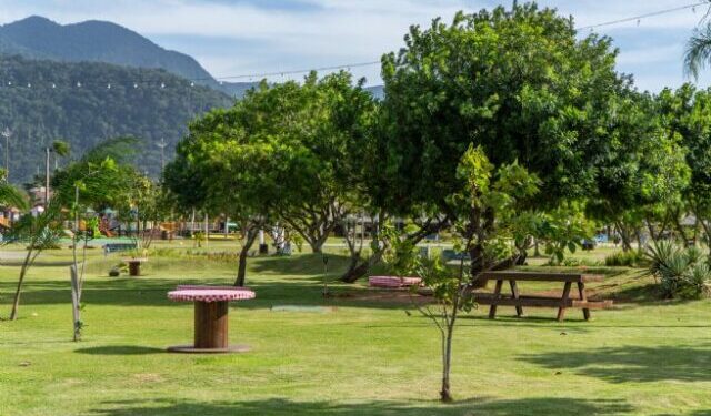 Centro Histórico ganha mais áreas verdes com plantio de mais de 70 mudas em São Sebastião