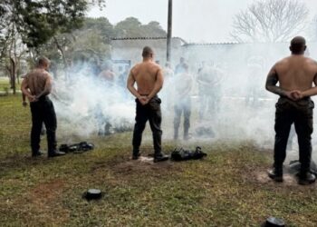 GCM de São Sebastião é selecionado para participar do curso de Cães de Guerra da Força Aérea Brasileira