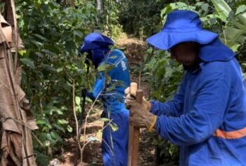 Prefeitura recupera área no Mar Verde e fecha trilha usada para furtos e caça ilegal