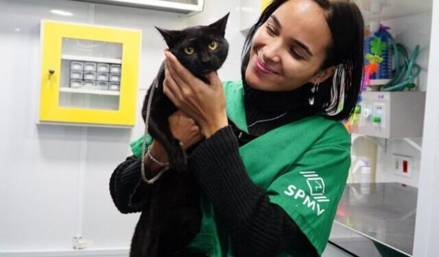 PATA Móvel inicia atendimento humanizado para pets da Costa Sul até começo de setembro