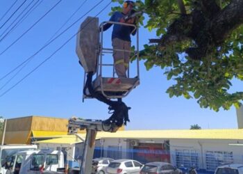 Prefeitura intensifica ações preventivas em São Sebastião por conta dos alertas de fortes ventos