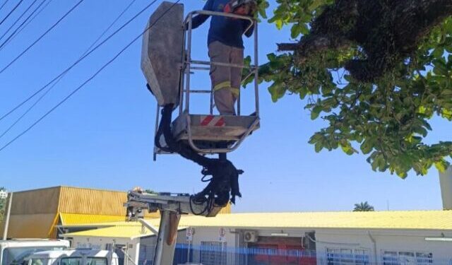 Prefeitura intensifica ações preventivas em São Sebastião por conta dos alertas de fortes ventos
