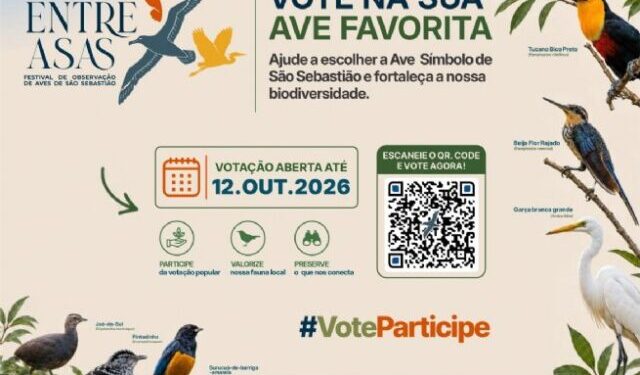 São Sebastião inicia escolha da Ave Símbolo durante Festival e amplia valorização da avifauna