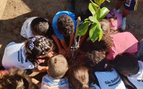 Prefeitura leva plantio de pau-brasil às escolas de São Sebastião em ação de educação socioambiental