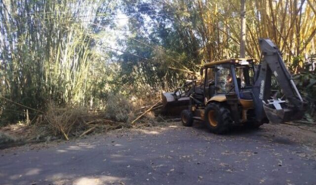 Vendaval mobiliza equipes da Prefeitura e São Sebastião mantém alerta para novas rajadas