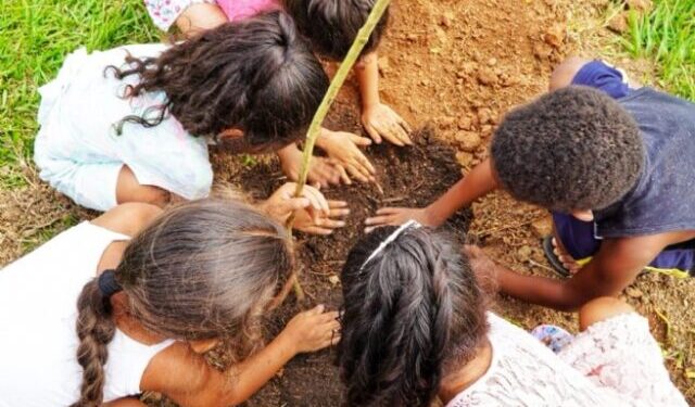 Prefeitura amplia áreas verdes em Maresias com plantio de árvores e participação da comunidade