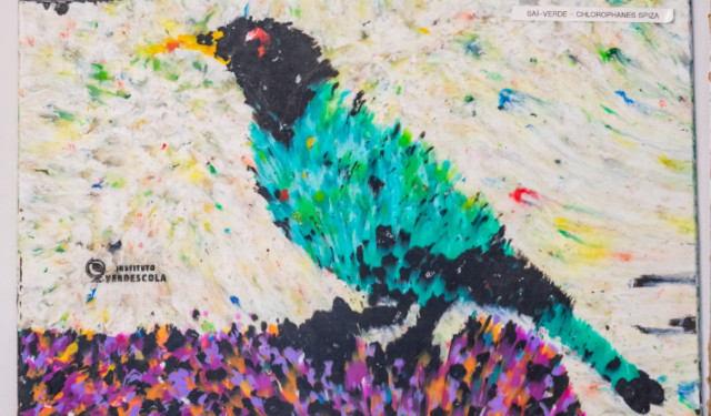 Verdescola apresenta Ateliê da Reciclagem ao 1º Festival de Observação de Aves de São Sebastião