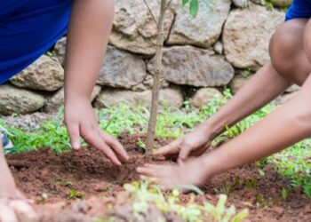 Semam amplia arborização com 40 mudas plantadas e participação de mais de 50 crianças durante a WSL