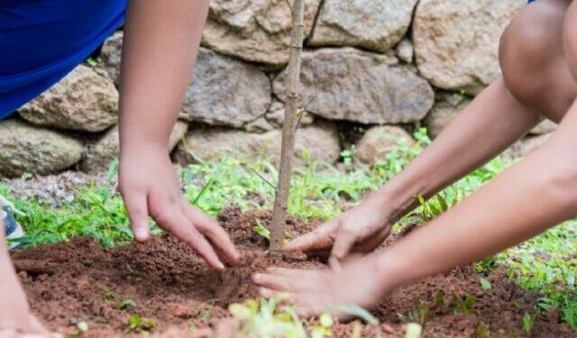 Semam amplia arborização com 40 mudas plantadas e participação de mais de 50 crianças durante a WSL